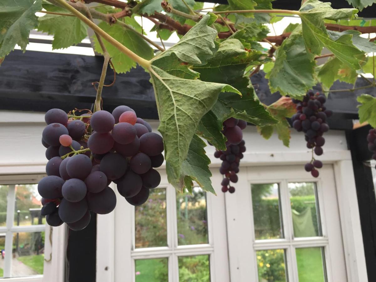 Rune Guesthouse Revninge Eksteriør billede