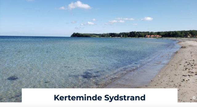 Rune Guesthouse Revninge Eksteriør billede